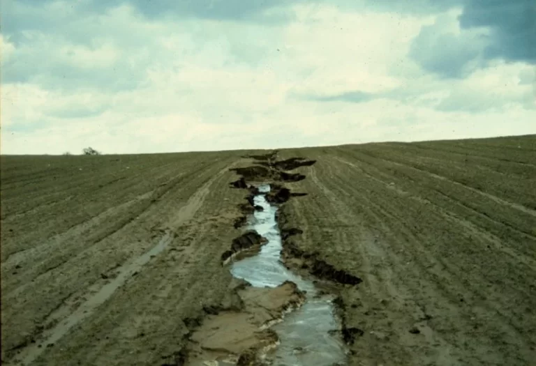 Negatív hatások - Talajcserepesedés, erózió és egyre romló talajélet