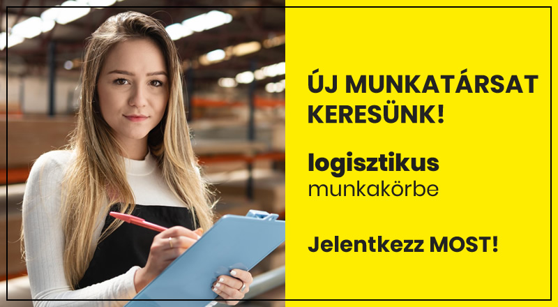 logisztikus allas 2025