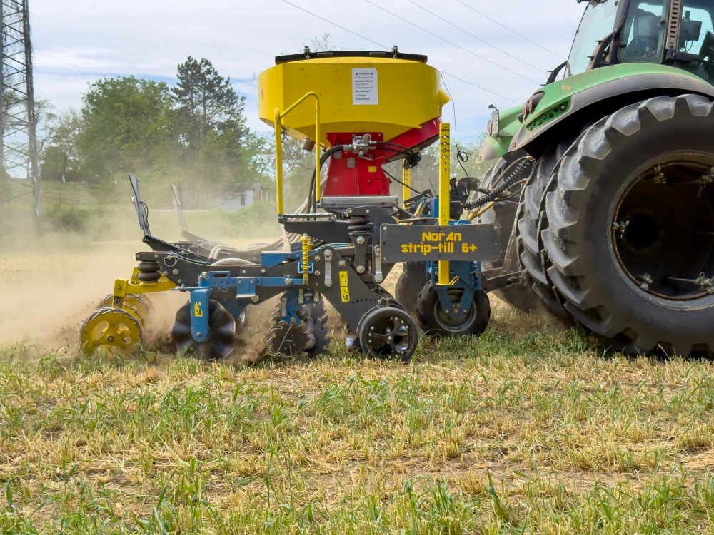striptill img 7640