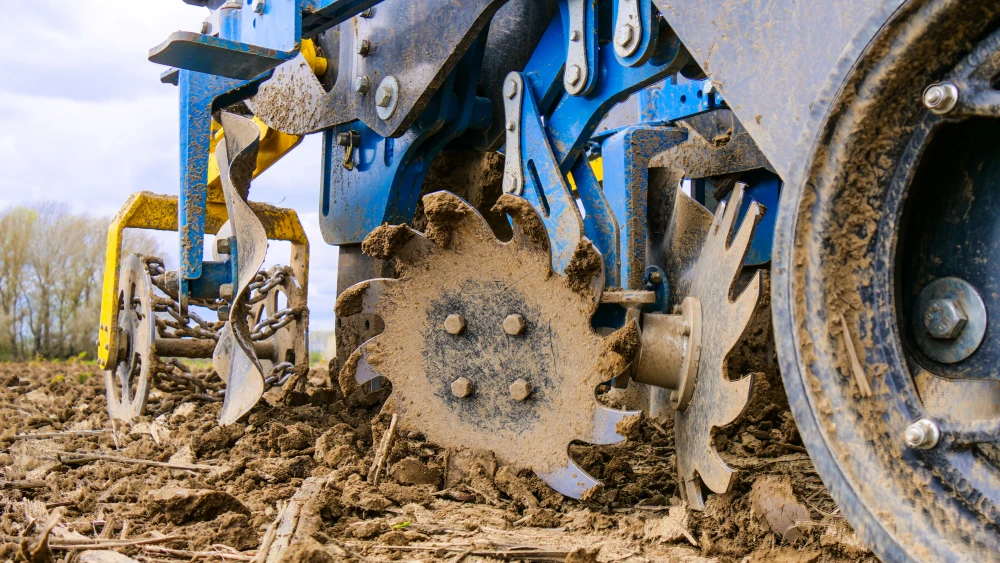 striptill strip13